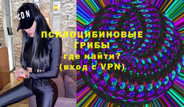 трава Арсеньев